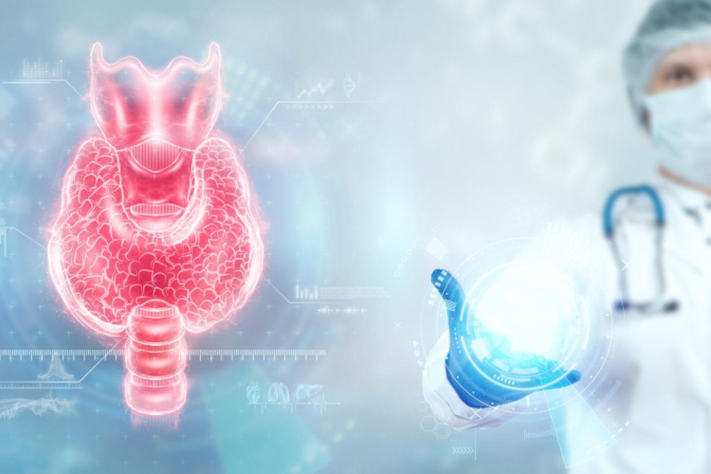Endocrinology